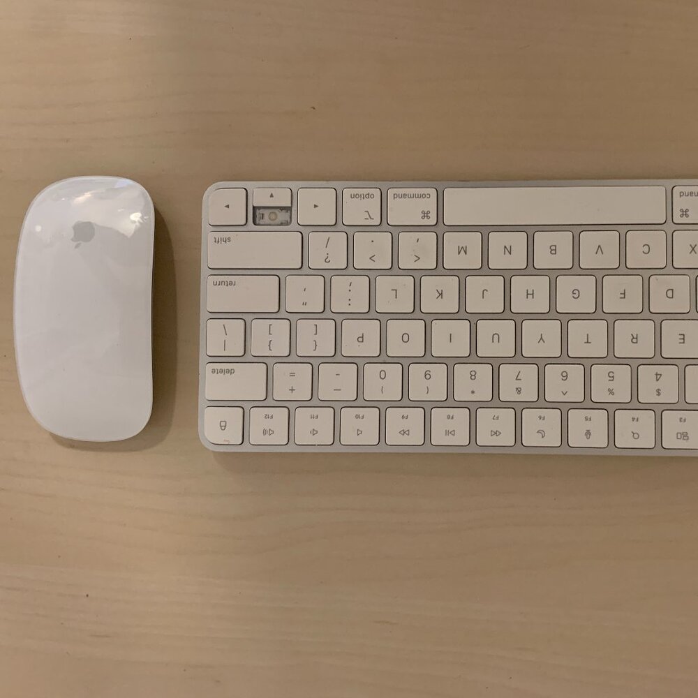 Mac keyboard (A2450) and mouse (A1657)